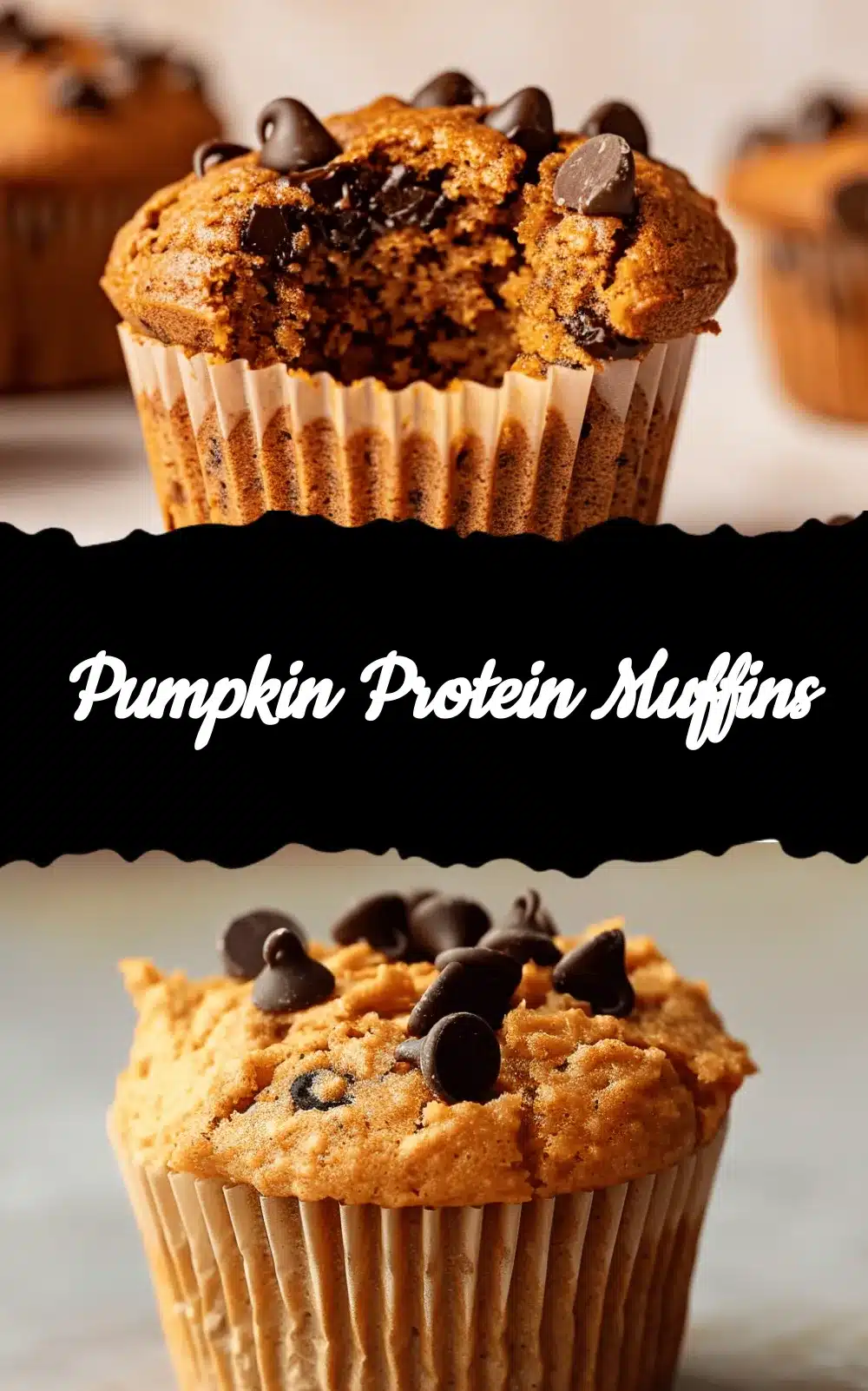 pumpkin protein muffins recipe